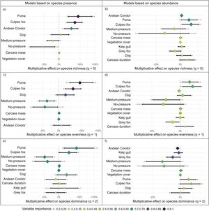 Multiplicative effects of ecological predictors on the diversity of vertebrates using carrion across Hill numbers: (a, b) species richness (q = 0), (c, d) evenness (q = 1), and (e, f) dominance (q = 2). Left panels show presence-based models, right panels abundance-based models. Diamonds indicate model-averaged coefficients (500 bootstrap iterations); thick and thin bars represent 90% and 95% percentile confidence intervals, respectively. Diamond colours denote variable importance, calculated as the sum of Akaike weights across the supported model set. Predictors include dominant scavengers (Andean condor, grey fox, kelp gull), large apex carnivores (puma, culpeo fox), and environmental variables (livestock management pressure, vegetation cover, carcass mass, carcass duration). Livestock management pressure was treated as categorical (baseline = high pressure).