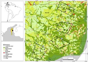 Study area in the Serranía del Perijá, northern Colombia. The four sampling windows are shown (W1–W2 in La Jagua de Ibirico; W3–W4 in Becerril, black polygons), along with sampling points in forest (green), regeneration (blue), and crops (red).