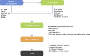 Gene–environment interaction with the pathophysiological development of post-traumatic stress disorder.