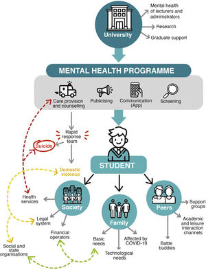 Actions for the mental health of university students. The conceptual model of the ecosystem that takes into account the student's interactions with their family, classmates and the rest of society is highlighted. Important among the recommended actions is the creation of a specific programme by the university that specifically addresses the mental health of students and encompasses the different focuses. The programme should have resources to screen symptoms, but also unmet basic and technological needs. It is therefore necessary to coordinate with other bodies. There must also be mechanisms for crisis situations, such as suicide and domestic violence. This highlights the importance of the essential connection with health services and other potentially helpful actors. Source: created by the authors.