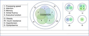 Effect of metabolic syndrome components on cognition.