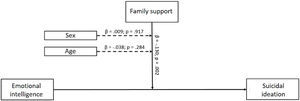 Moderation analysis with family support, sex and age as moderators.