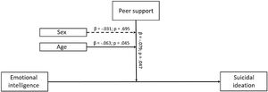 Moderation analysis with peer support, sex and age as moderators.