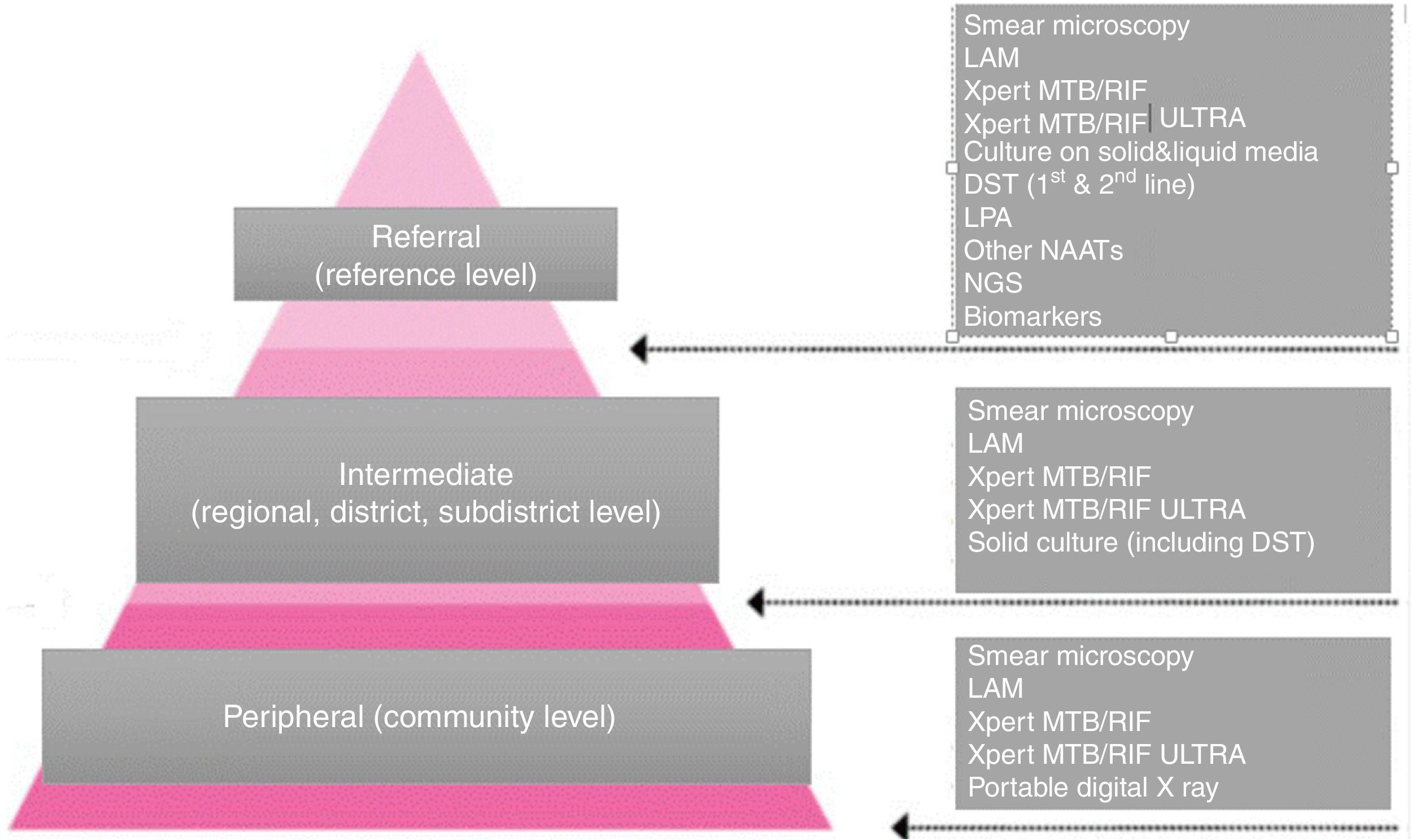 Point of care diagnostics for tuberculosis | Pulmonology