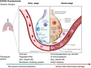 Schematic representation of the progression of COVID-19 infection and potential adjuvant interventions. IFNa: Interferon alpha; IV: Intravenous; HAS2: Hyaluronan Synthase 2. Created with BioRender.com.