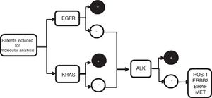 Algorithm of sequential molecular analysis. EGFR: epidermal growth factor receptor; KRAS: kirsten rat sarcoma viral oncogene homolog; ALK: anaplastic lymphoma receptor tyrosine kinase; ROS1: protooncogene tyrosine protein kinase ROS; ERBB2: erb-b2 receptor tyrosine kinase 2; BRAF: v-Raf murine sarcoma oncogene homolog B1; MET: tyrosine-protein kinase Met.