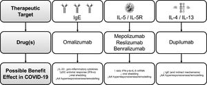 Summary of the potential main benefits of monoclonal antibodies for severe asthma treatment in COVID-19 Legend: AA: airways Ig: immunoglobulin; IFN: interferon; IL: interleukin; pDC: plasmacytoid dendritic cells.