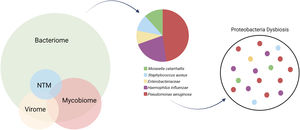 The microbiome in bronchiectasis in composed by the bacteriome, mycobiome and virome. Respectably to the bacteriome, culture-based microbiology results from European cohorts show predominance for Haemophilus influenzae and Pseudomonas aeruginosa. Multiple factors might lead to Proteobacteria dysbiosis and loss of diversity in the bronchiectasis lung microbiota.