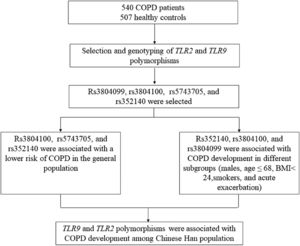 The schematic representation of work-flow.