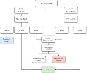 A flow-chart for suggested evaluation of exertional dyspnea according to spirometry at rest. *Consider CPET respiratory capacity maneuvers. CPET, cardiopulmonary exercise test; FEV1, forced expiratory volume in 1 second.