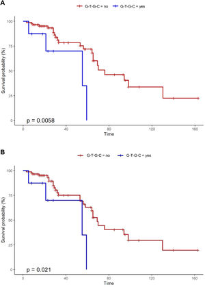 Kaplan-Meier plots showing fHP patients’ overall survival (A) and transplant-free survival (B) according to haplotype G-T-G-C defined by the rs35705950-rs3750920-rs111521887-rs5743894 MUC5B-TOLLIP block. Time in months; P value for log-rank test.