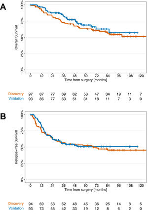 Postoperative survival. Kaplan‒Meier curves comparing overall survival (a) and relapse-free survival (b) in the discovery (orange lines) and validation (blue lines) cohorts.