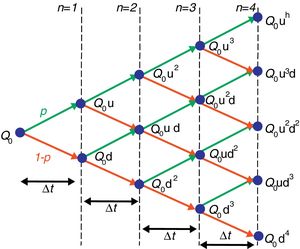 Binomial tree of the Cox, Ross, and Rubinstein model (1979).