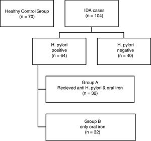 Flowchart of study group. IDA: iron deficiency anemia.