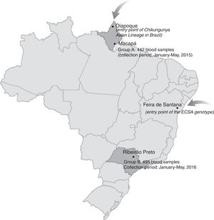 Map of Brazil, demonstrating the points of entry of both Chikungunya virus genotypes i.e. the Asian and the East/Central/South African (ECSA) lineages and the regions from where blood samples were collected.