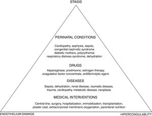 Virchow's triad and risk factors for pediatric venous thromboembolism.