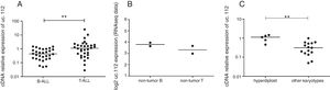 Expression levels of uc.112 in acute lymphoblastic leukemia (ALL) and non-tumor cells. (A) Relative expression in patients with B-ALL (left) or T-ALL (right). (B) Expression value in non-tumor B precursor cells (left) or non-tumor T precursor (right). RNAseq values from public data,8 no significant difference. (C) Relative expression in patients with hyperdiploid karyotype (right) and absence of hyperdiploidy (left). **p<0.001, Mann–Whitney test.