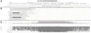 UCSC Genome Browser histogram view for uc.112 region. (A) Chromosome localization. (B) Transcription factor immunoprecipitated according to ENCODE data (C) Conservation information. Data available accessing the position chr3:18169564-18169909, GRCh37/hg19 Assembly and visualized with zoom out of 3 times.