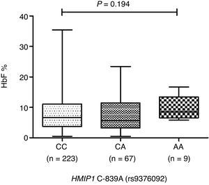 Fetal hemoglobin (HbF) levels of sickle cell anemia patients according to HMIP1 (rs9376092) genotypes. Median HbF levels were 6.9%, 5.7% and 8.4% for CC, CA and AA genotypes, respectively.