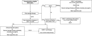Treatment algorithm recommended for R/R DLBCL management.30 Algorithm for management of relapse/refractory (R/R) diffuse large B-cell lymphoma (DLBCL) adapted from Alencar AJ et al.31 Treatment response was based on the LYRIC criteria (Cheson BD et al.32). Allogeneic hematopoietic stem cell transplantation may be considered instead of autologous hematopoietic stem cell transplantation (auto-HSCT) in selected cases of mobilization failure. CAR, chimeric antigen receptor; CR, complete response; DHL, double-hit lymphoma; LDH, lactate dehydrogenase; PR, partial response; SD/PD, stable/progressive disease; THL, triple-hit lymphoma; ULN, upper limit of normal.