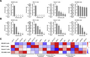 Obatoclax effectively reduces clonal growth independently of BCL2-related molecular background and venetoclax sensitivity in acute myeloid leukemia cell lines. (A) Colonies containing viable cells were detected by methylthiazoletetrazolium (MTT) after 10 days of culture of MOLM13, MV-4-11, Kasumi 1, and OCI-AML3 cells treated with vehicle or increasing concentrations of venetoclax (0.5, 1, 5, and 10μM) or obatoclax (3, 10, 30, and 100nM) and normalized to the corresponding vehicle-treated controls (Ø). Colony images are shown for one experiment and the bar graphs show the mean±SD of at least three independent experiments. *p<0.05; **p<0.01; ***p<0.001; ANOVA and Bonferroni post-test. (B) Gene expression heatmap from qPCR analysis for 19 BCL2-related genes in MOLM3, MV-4-11, Kasumi 1, and OCI-AML3 cells. The mRNA levels are normalized to the median of ΔCT from all AML cell lines for each gene. BCL2 homology (BH) multidomain anti-apoptotic, BH multidomain pro-apoptotic, activation BH3-only pro-apoptotic or sensitizer BH3-only pro-apoptotic genes are indicated and genes are reported according to Human Genome Organization (HUGO) Gene Nomenclature Committee (HGNC). Three independent samples for each cell line were used for the analysis; blue indicates repressed mRNA levels and red elevated mRNA levels.
