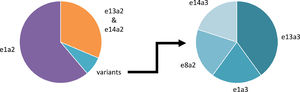 BCR-ABL1 transcript types in Philadelphia chromosome-positive acute lymphoblastic leukemia.