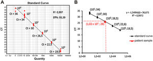 Determination of the number of copies of the bacterial genome in the test sample. (A) Positive control: Standard curve of the molecular test, points identified with their respective amplification Ct and number of copies of the Mycoplasma genome, (B) Calculation by linear regression to obtain the number of copies of the Mycoplasma genome present in the test sample.
