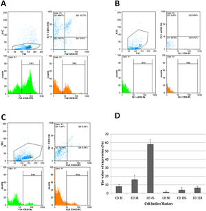 Immunophenotyping characteristics of cells isolated from LRFs. The isolated cells are labeled for CD31-FITC, CD34-PE, CD45-FITC, CD73-PE, CD90-FITC/PE, CD105-FITC and CD133- PE monoclonal antibodies, as described in Materials and Methods. The experiment was performed in triplicate. The CD34/45 positive cells (A), CD90/105 negative cells (B), CD31/133 positive cells (C) and surface makers expression of PBMNCs isolated from LRFs by the back-flushing method (D).