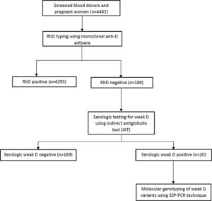 Recruitment and testing algorithm for weak D variants.