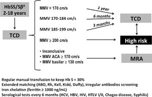 Transcranial Doppler screening protocol for primary prevention of ischemic stroke at the Belo Horizonte Blood Center, Brazil.