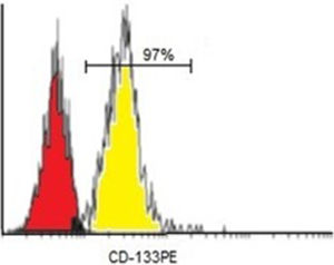 Purity assessment of CD133+ cells from UCB-MNCs after MACS separation.