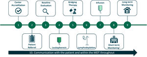 Steps associated with the practical implementation of CAR-T cell therapy. *Including adverse event monitoring.