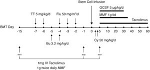 Transplant schedule including conditioning and immunosuppression.