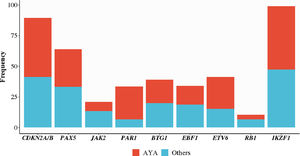 Frequency of the most common copy number alterations according to age. Forty-seven patients were investigated for the presence of CNAs by MLPA assays P335 and P202 and Multiplex PCR. The genes analyzed in these techniques are plotted on the X-axis, CDKN2A/B, PAX5, JAK2, PAR1 region, BTG1, EBF1, ETV6, RB1, and IKZF1. Here, PAR1 was considered altered if two or more genes in this region were affected: CRLF2, IL3RA, CSF2RA, P2RY8 and SHOX. The percentage of alteration frequency, loss or amplification in each gene is plotted on the Y-axis. The light gray bars represent the AYA group (age 15 - 39 years) and the dark gray, patients aged over 39 years.