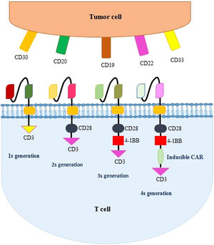 The four generations of the chimeric antigen of CAR-T cell receptor and common targets on tumor cells. Various CAR-T cell generations are shown with various intracellular segments.
