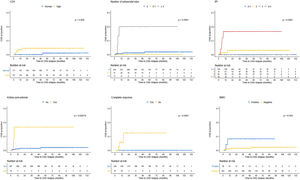 Baseline characteristics in patients without and with central nervous system infiltration considering time to the event (Kaplan–Meier curves).