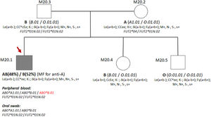 Heredogram showing the phenotypes (ABO, Rh, Kell, Kidd, Duffy, MNS, and Lewis) and genotypes (ABO, FUT2) identified in the blood donor and all his family members.