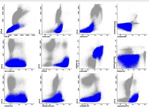 The expression profile of γδ T-ALL in blue.