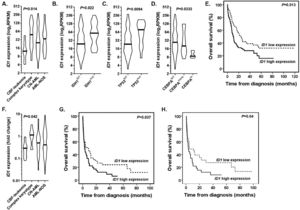 (A) The ID1 expression according to the cytogenetics abnormalities at diagnosis of AML patients from the training cohort. (B-D) The ID1 expression according to the mutational status of (B) the IDH1, (C) TP53 and (D) CEBPA genes. (E) The comparison of OS curves for patients from the training cohort with low and high ID1 expression. (F) The ID1 expression according to the cytogenetics abnormalities at diagnosis of AML patients from the real-life cohort. (G) The comparison of OS curves for patients from the real-life cohort with low and high ID1 expression (entire cohort) (H) and patients who were intensively treated with chemotherapy (91 patients).