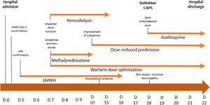 Summary of the temporal progression of the disease and the interventions performed.