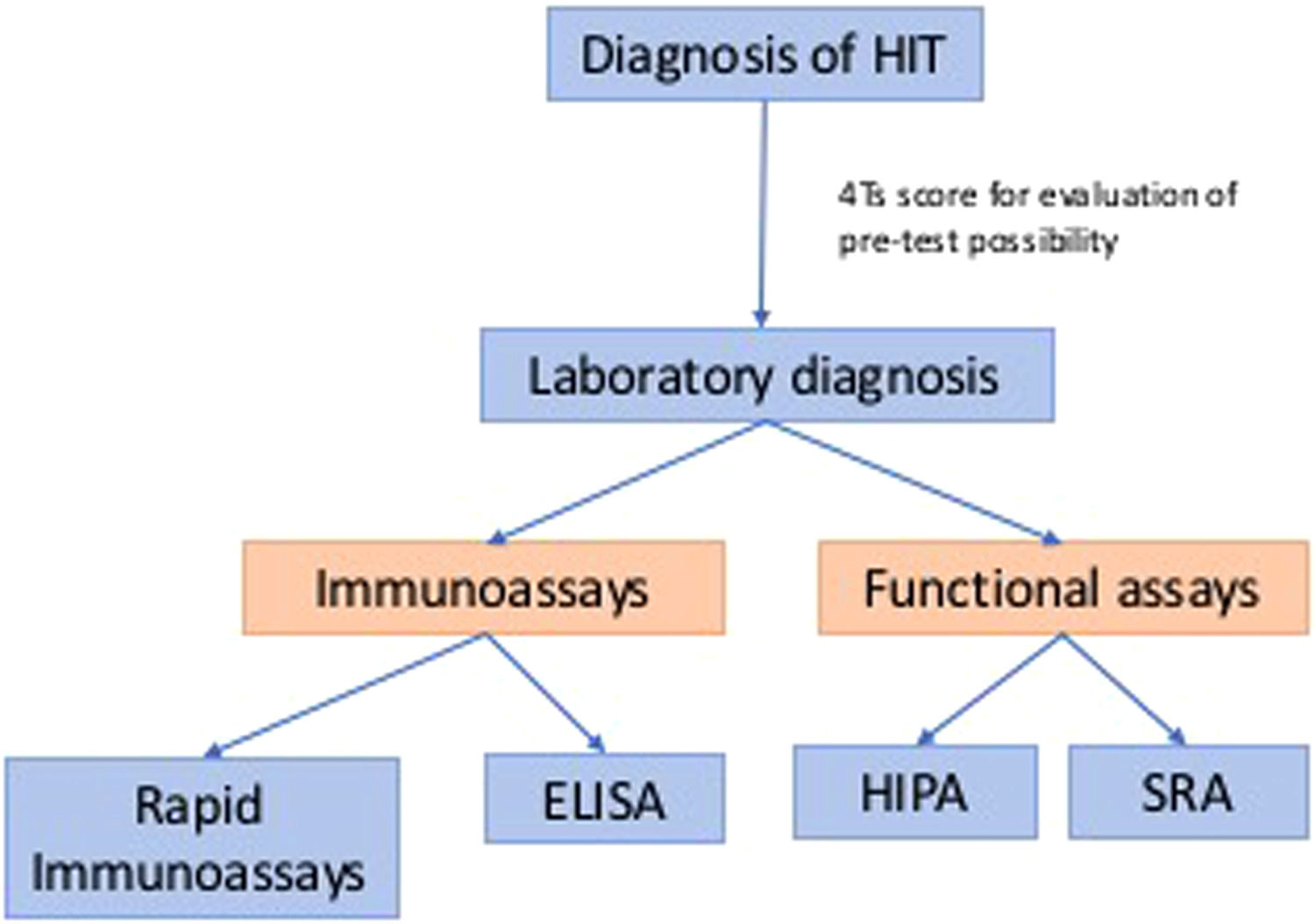 Anti-PF4 antibodies and their relationship with COVID infection ...