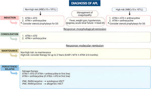 Overview of acute promyelocytic leukemia (APL) management according to the Brazilian Hematology Committee recommendations. WBC: white blood cell; ATRA: all-trans-retinoic acid; ATO: arsenic trioxide; DS: differentiation syndrome; 6-MP: 6-mercaptopurine; MTX: methotrexate; HSCT: hematopoietic stem cell transplantation.