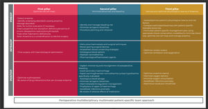 The three pillars of PBM and its strategic matrix (three treatment phases). Adapted from: Thomson, J & Hofmann, Axel & Barrett, Claire & Beeton, A & Bellairs, G & Boretti, L & Coetzee, Marius & Farmer, Shannon & Gibbs, Matthew & Gombotz, H & Hilton, Caroline & Kassianides, C & Louw, Vernon & Lundgren, C & Mahlangu, Johnny & Noel, Colin & Rambiritch, V & Schneider, Frank & Verburgh, Estelle & Patie, A. (2019). Patient blood management: A solution for South Africa. South African Medical Journal. 109. 471. 10.7196/SAMJ.2019.v109i7.13859.5