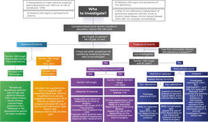 Algorithm to investigate preoperative anemia treatment. CKD: chronic kidney disease; IBD: inflammatory bowel disease; CI: Cardiac insufficiency; VO: Via oral; EV: Endovenous; BL: Bilirubin; LDH: Lactate dehydrogenase; TSH: Thyroid-stimulating hormone; ID: Iron deficiency; EPO: erythropoietin; MDS: Myelodysplastic syndrome; CrCl: Creatinine Clearance; CRP: C-Reactive protein; DAT: Direct antiglobulin Test; TS: Transferrin saturation.