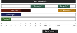 Preoperative approach to antiplatelet drugs (antiaggregants) *It is recommended to maintain the drug. Consider suspension in procedures with high risk of bleeding, such as neurosurgery. **Bridging with cangrelor is not routinely indicated, however, it should be considered in patients at high risk of thrombosis and should begin 72 h after discontinuation of the P2Y12 inhibitor. ***P2Y12 inhibitors must be started within 24 h after the procedure at the maintenance dose. †The suspension must occur 3 to 5 days before the procedure. ‡The suspension must occur 5 days before the procedure #suspension must occur 7 to 10 days before the procedure. Adapted from Douketis et al. (2022).8.