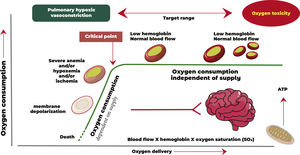 Relationship between oxygen delivery and demand.