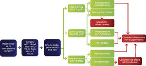 Postoperative management of anemia.