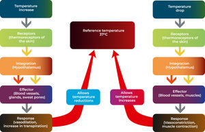 Hypothermia: interventions and associated complications.