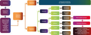 Treatment algorithm for topical hemostasis. DIC: Disseminated Intravascular Coagulation; rFVIIa: recombinant factor VII; PCC: Prothrombin complex concentrate. Adapted from Krajewski et al. (2015)15.