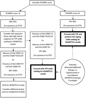 Proposed algorithm for work-up and treatment.